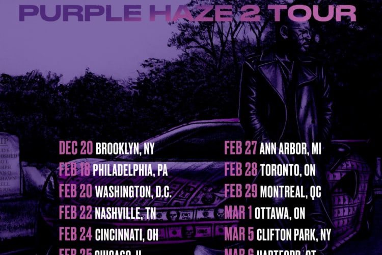 Cam'ron_Purple_Haze_2_Tour